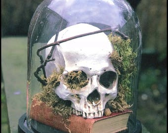 Hand-crafted bell jar dome with skull ornament. No two are the same
