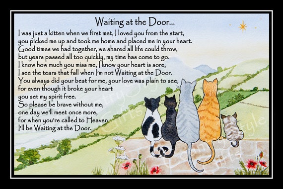 free printable rainbow bridge poem for cats rainbow bridge poem for