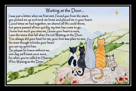 Rainbow Bridge Cat Memorial pet bereavement gift 9 x