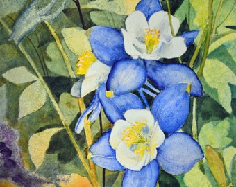Wildflower painting original watercolor painting Columbine fine art painting watercolor painting original floral watercolor painting blue
