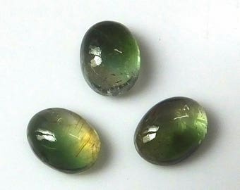 3 Pieces Lot 8X6 MM Oval Shape Natural Bi-Color Tourmaline Cabochon Cut Calibrated Untreated Gemstone Wholesale Lot Bi-Color Tourmaline