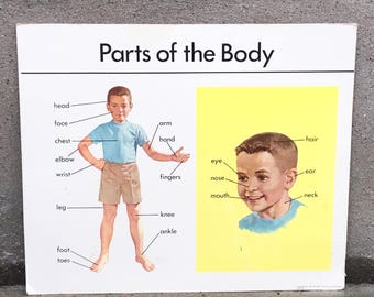 Vintage 1967 20x24 Parts of the Body Card