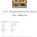 HELIODOR (Yellow Beryl) - Gorgeous 1.97 ct. Pair of Trillion Cut Heliodor GemStones...