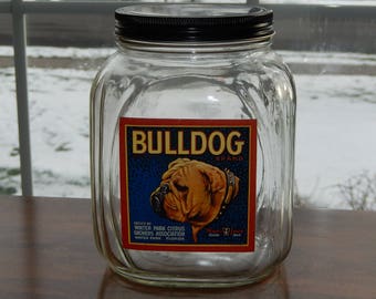 Bulldog Cookie Jar - A Doggone Handy Place for Your Best Friend’s Treats!