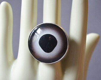 Silver Fish Eye Ring Made With Glass Taxidermy Eye
