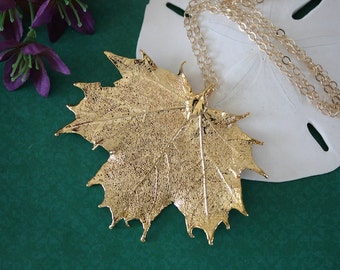 Gold Leaf Necklace, Real Leaf Necklace, Maple Leaf, Gold Maple Leaf, Sugar Maple Leaf, LC62