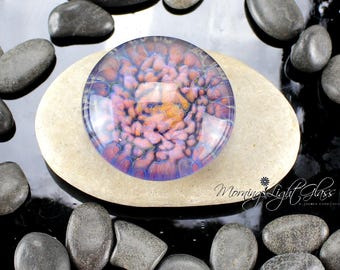 Barrier Reef Lampwork Glass Cabochon - 34mm - Jewelry Making Supply