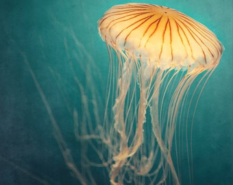 Jellyfish Print, Nature, Large Wall Art Print, Nature Photography Print, Ocean Art, Jellyfish Art, Teal Wall Art, Beach Decor "Medusa"