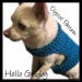 Dog Sweater - Medium Size CROCHET PATTERN Dog Pet Maltese Bichon Dachshund Vest Birthday Jacket Sweater Apparel Clothes Costume Outfit
