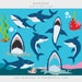 Shark clipart - shark clip art sea clip art seaweed coral sea life ocean life clipart digital designs commercial