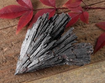 One BLACK KYANITE Fan - M or L - Raw Kyanite Crystal, Healing Crystal, Healing Stone, Kyanite Blade, Grounding Stone, Kyanite Stone E0836