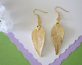Gold Leaf Earrings, Evergreen Leaf , Real Leaf Earrings, Real Gold Evergreen Leaf, Gold, Nature, LEP62