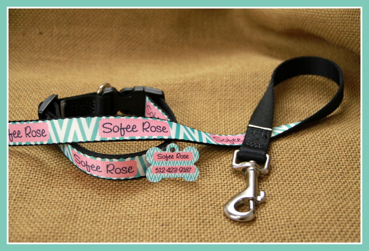 Personalized Dog Collar Dog Tag Pet ID Tag Combination Set