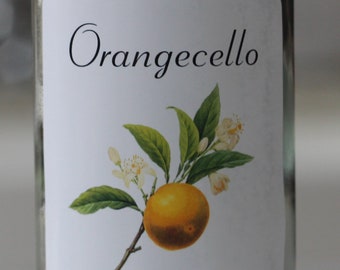 Orangecello Labels, Set of 12 or 18