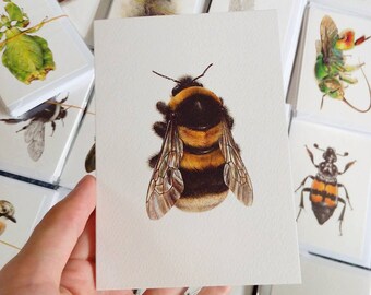 Bombus ruderatus A6 greetings card