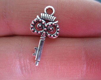 Set of 10 Skeleton Keys w/owl face Charms