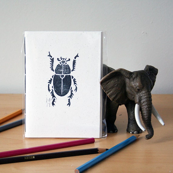 Dung beetle diet picture