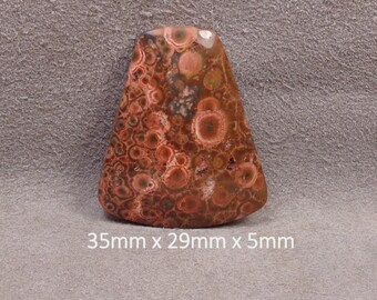 BIRD'S EYE RHYOLITE Cabochon