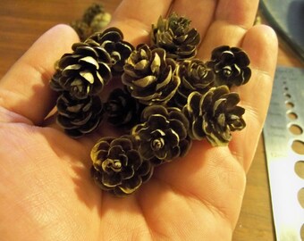 100 Mini Pine Cones - Tiny Crafting Pinecones