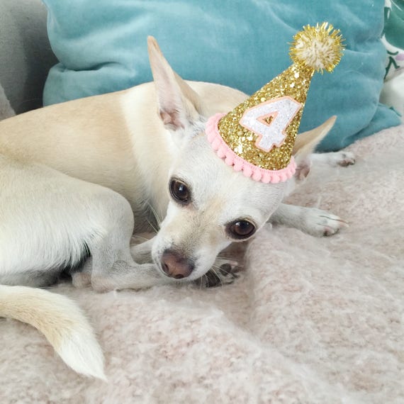 Dog Costumes || Birthday Hat || Dog Party Hat || Dog Birthday Party Outfit || Animal Birthday Hat || Pet Birthday Hat || Dog Clothes