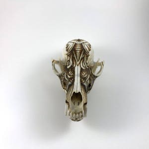 Fox Skull Pyrography Wood Burning