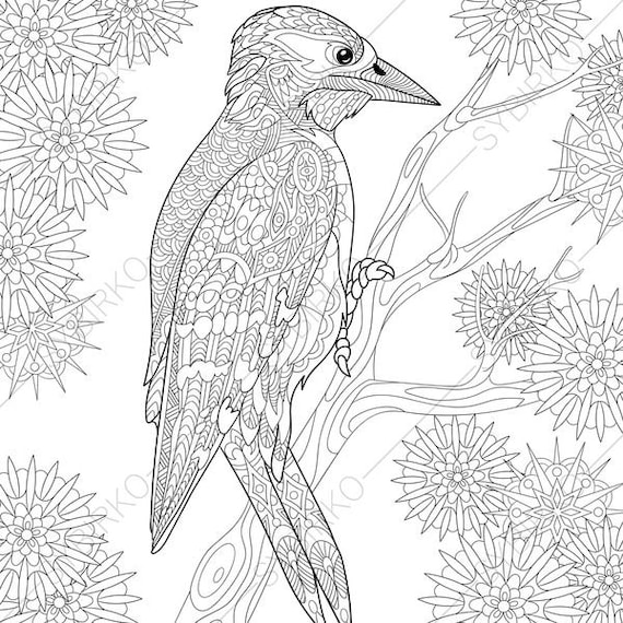 Coloring Pages Animal Book For