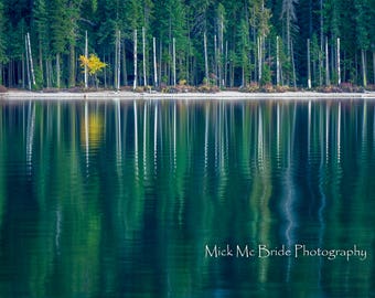 Autumn Lake Solitude.