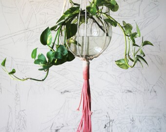 Macrame Plant Hanger