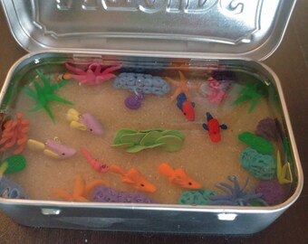 Coral reef altoid tin