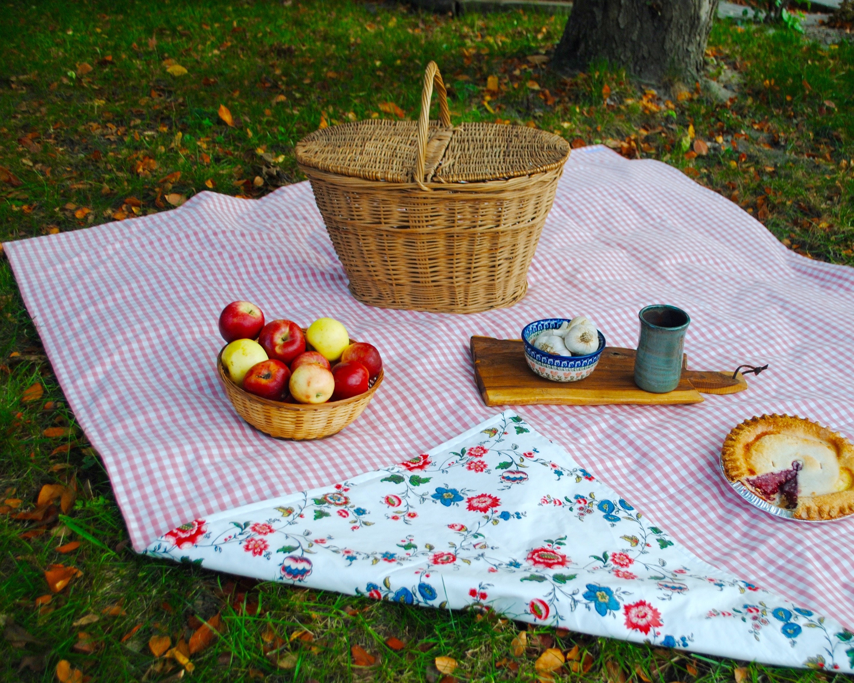 Pink Picnic Blanket Retro Gingham and Floral Picnic