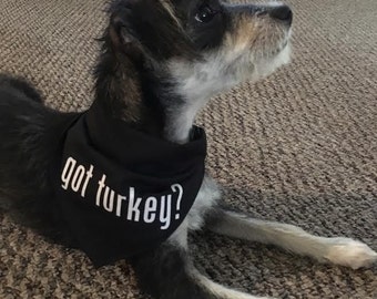 Got Turkey? Thanksgiving Dog Bandana