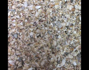 Puka Sand (Crushed Shells) (1 Pound Bag) (EA)