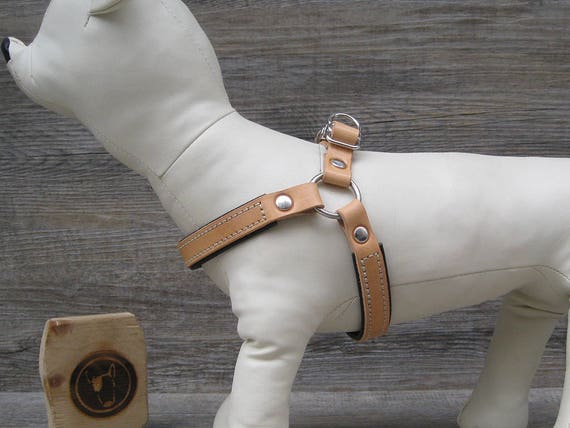 Step In Dog Harness in Tan Leather, Soft Padded Dog Harness, Adjustable Dog Harness for Small and Medium Dogs, Handmade No Pull Dog Harness
