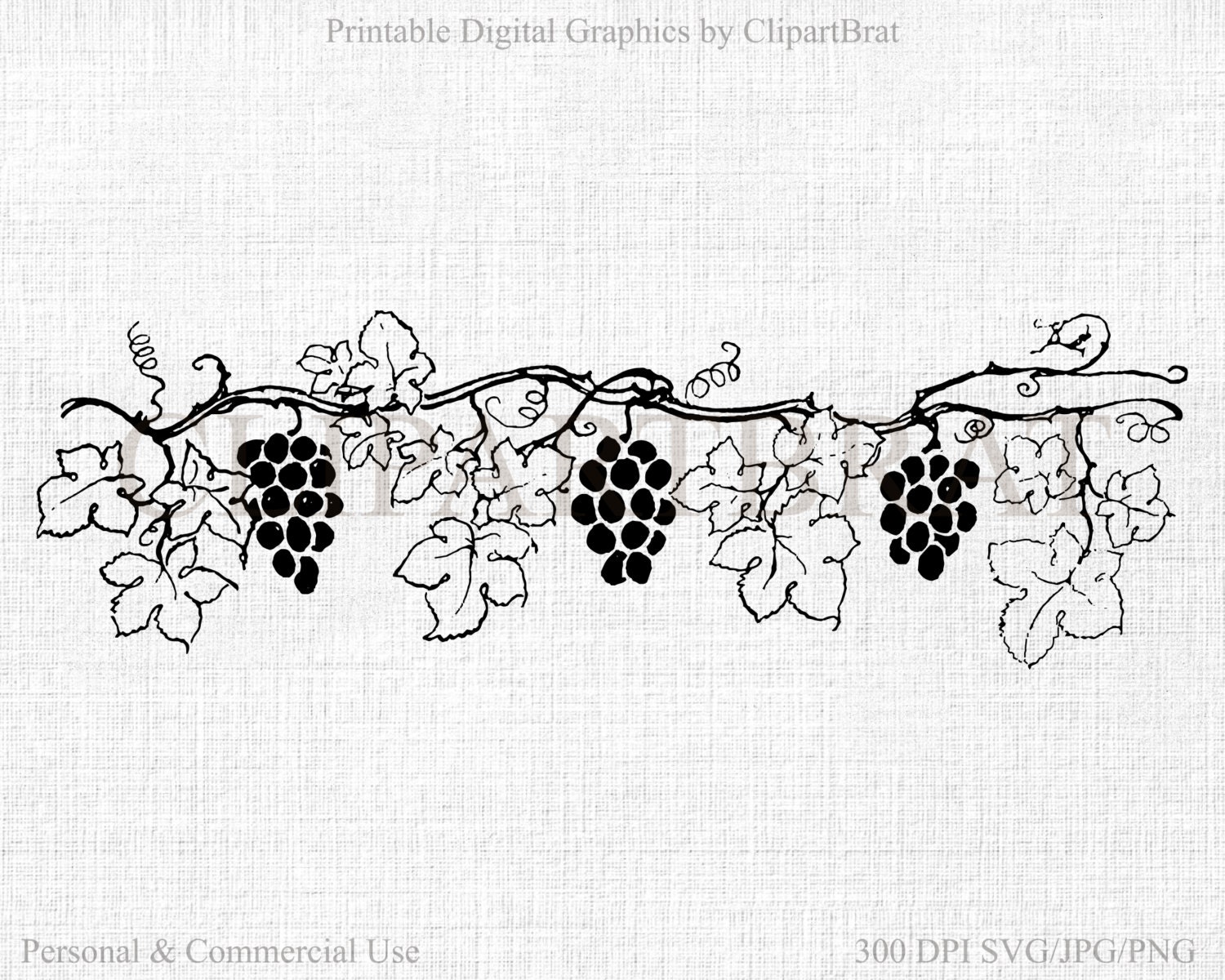 Download GRAPE VINE CLIPART Commercial Use Clipart Grapes Digital ...