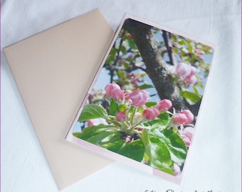 "Apple blossoms ' 10 buds, 5x15cm handmade double card
