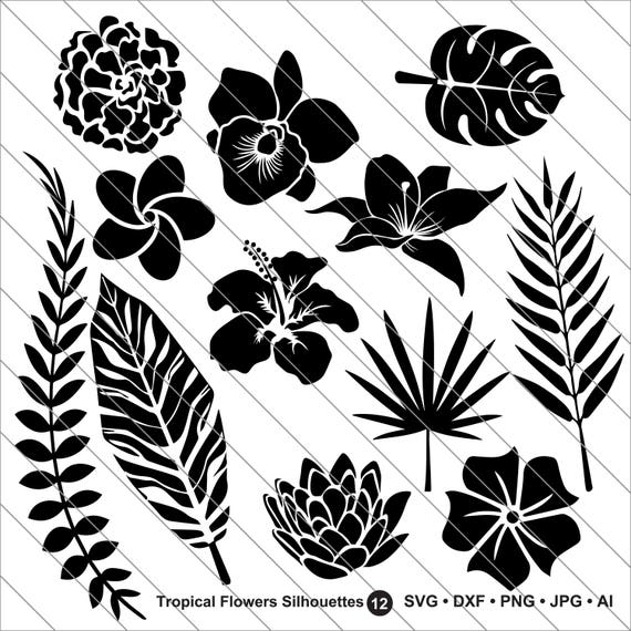 Free Free 250 Tropical Flower Svg Free SVG PNG EPS DXF File