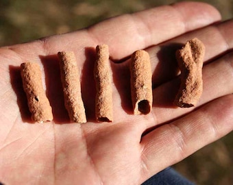 Fulgurite Lightning Strike Stone From Morocco