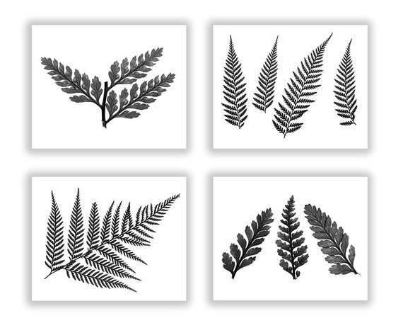 Fern print set botanical print set fern wall art decor Fern print set botanical print set fern wall art decor