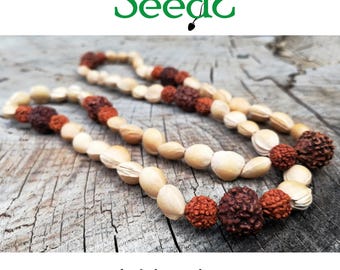 Natural seeds Necklace-Rudraksha, cherry