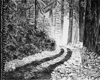 Black and White_Lithography_Woods_Tracks_Nature_