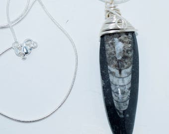 Fossilized Orthoceras Pendant wrapped in Silver wire, comes with a 925 Sterling Silver Chain