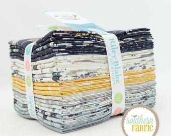 Fossil Rim - Fat Quarter Bundle - 21 (18"x21) by Deena Rutter by Riley Blake (FQ-6610-21)