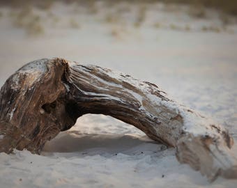 Driftwood on Ocean Digital Backdrop/Digital Background