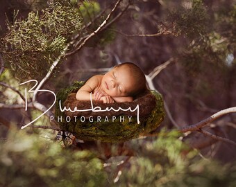 Newborn Birds nest digital Background