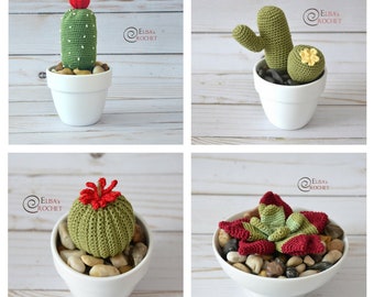 CROCHET PATTERN - SUCCULENTS Amigurumi / Cactus / Flower / Plants / Handmade - pdf only