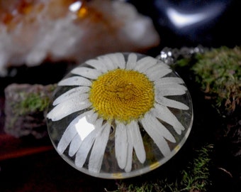 Daisy Terrarium Necklace Real Flower Necklace Pressed Flower Jewelry Sunflower White Daisy Jewelry Bridesmaid Necklace Floral Necklace Glass