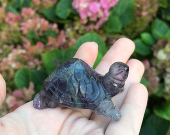 Rainbow Fluorite Turtle Animal Totem