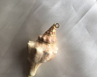 shell pendant lovely approximately 2 inches