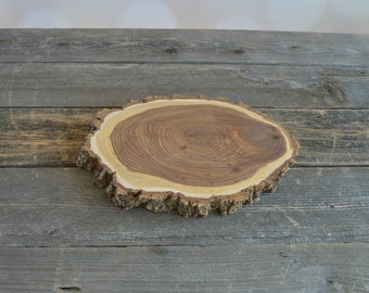 Large Elm Tree Slice- Wall Hanging, Candle Stand, Centerpiece, Large Wood Slice, Cake Stand (WS6034)