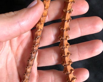 Genuine Rattlesnake Vertebrae Bead Strands